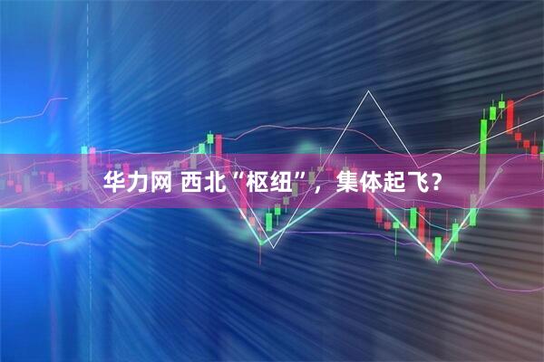 华力网 西北“枢纽”，集体起飞？