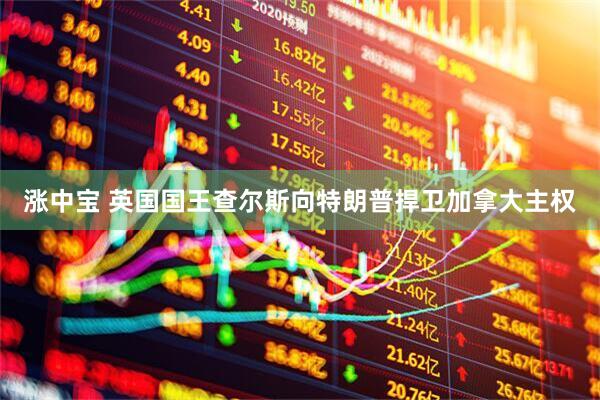 涨中宝 英国国王查尔斯向特朗普捍卫加拿大主权