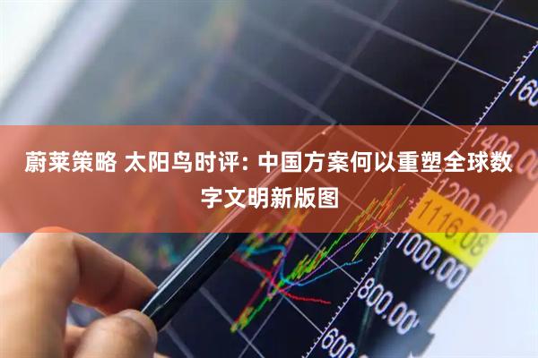 蔚莱策略 太阳鸟时评: 中国方案何以重塑全球数字文明新版图