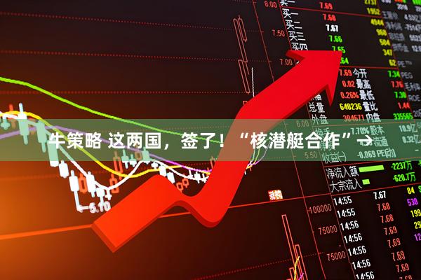 牛策略 这两国，签了！“核潜艇合作”→