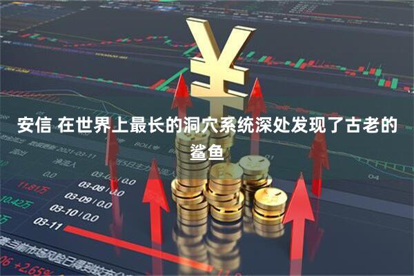 安信 在世界上最长的洞穴系统深处发现了古老的鲨鱼