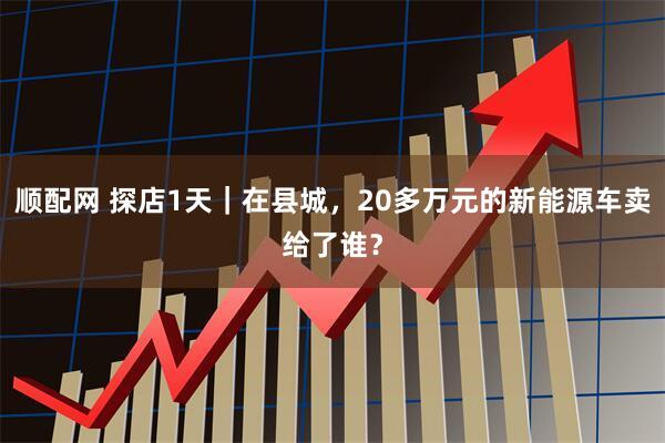 顺配网 探店1天｜在县城，20多万元的新能源车卖给了谁？