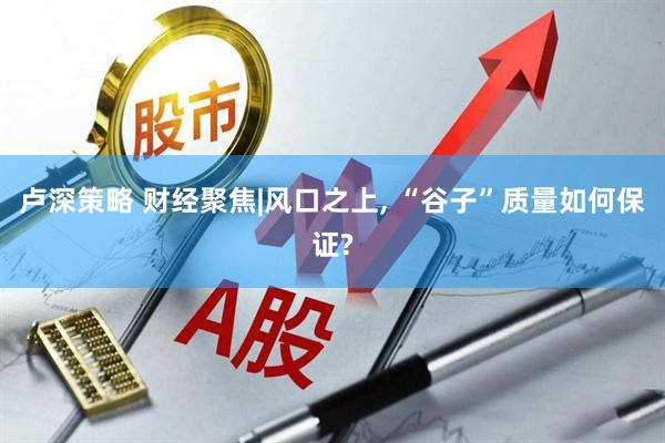 卢深策略 财经聚焦|风口之上, “谷子”质量如何保证?
