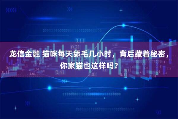 龙信金融 猫咪每天舔毛几小时，背后藏着秘密，你家猫也这样吗？